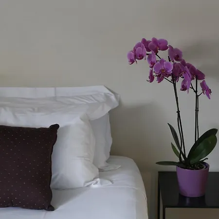 Residenza Dell' Opera 3*